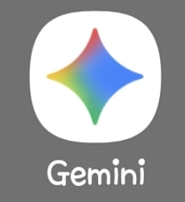 제미나이-사진8