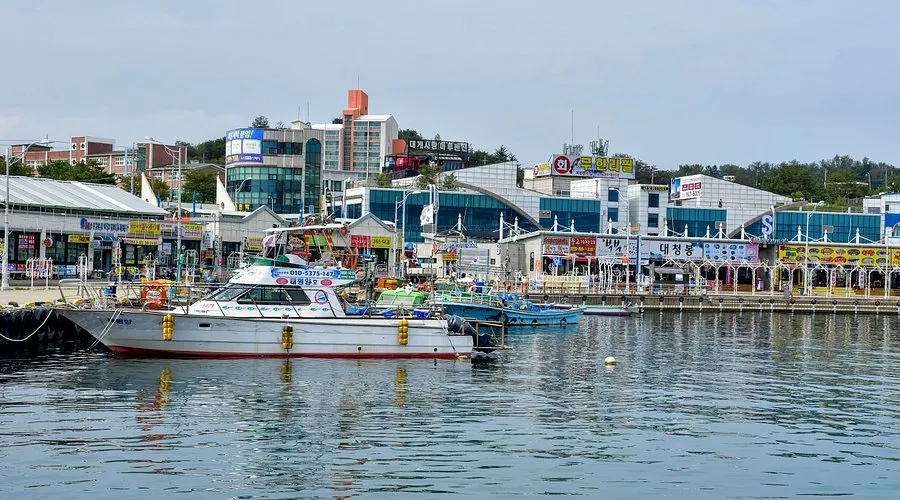 속초 대포항 맛집 추천 회센터 근처 인기 식당 리스트_5
