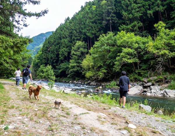 가족이 반려견과 자연휴양림을 산책하는 모습