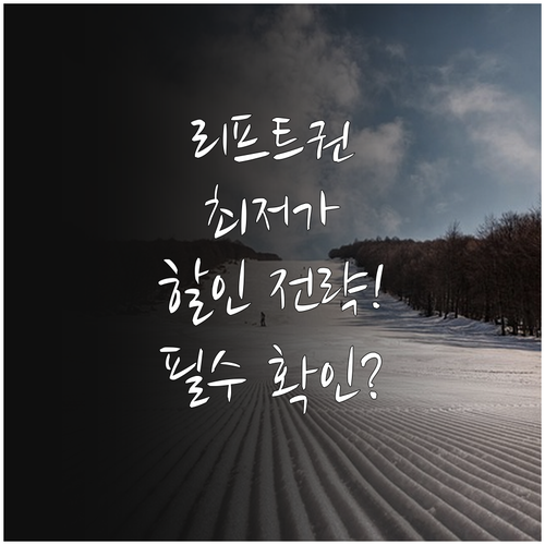 리프트권 할인 중복 적용 불가 최저가..