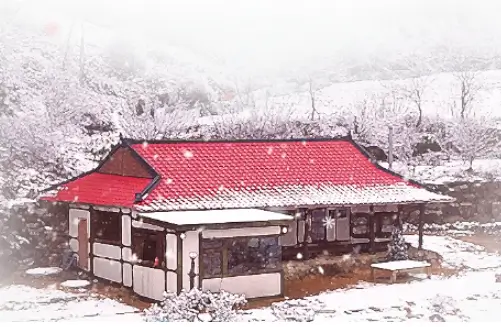 안재현 프로필 필모그라피 나이 드라마 MBTI 이혼 근황 인터뷰 나혼자산다