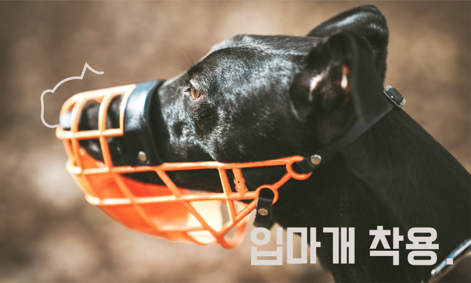 강아지 입마개