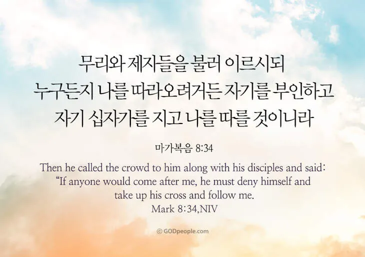 매일성경 묵상과 깨달음(누가복음 8장 1-15절) 씨 뿌리는 자의 비유 말씀_8