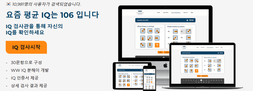 아이큐 테스트