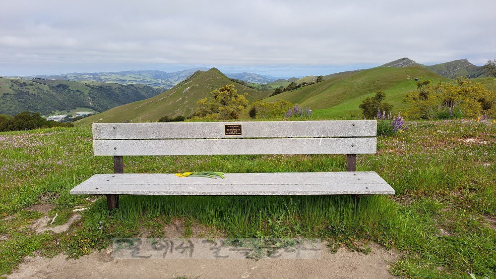 Sunol Regional Wilderness
