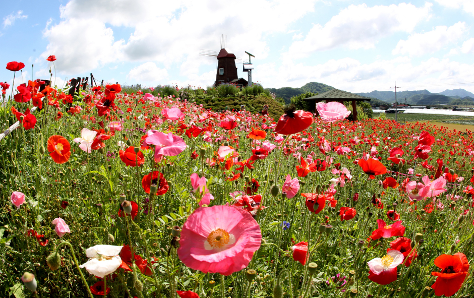 함안 가볼만한곳 베스트10