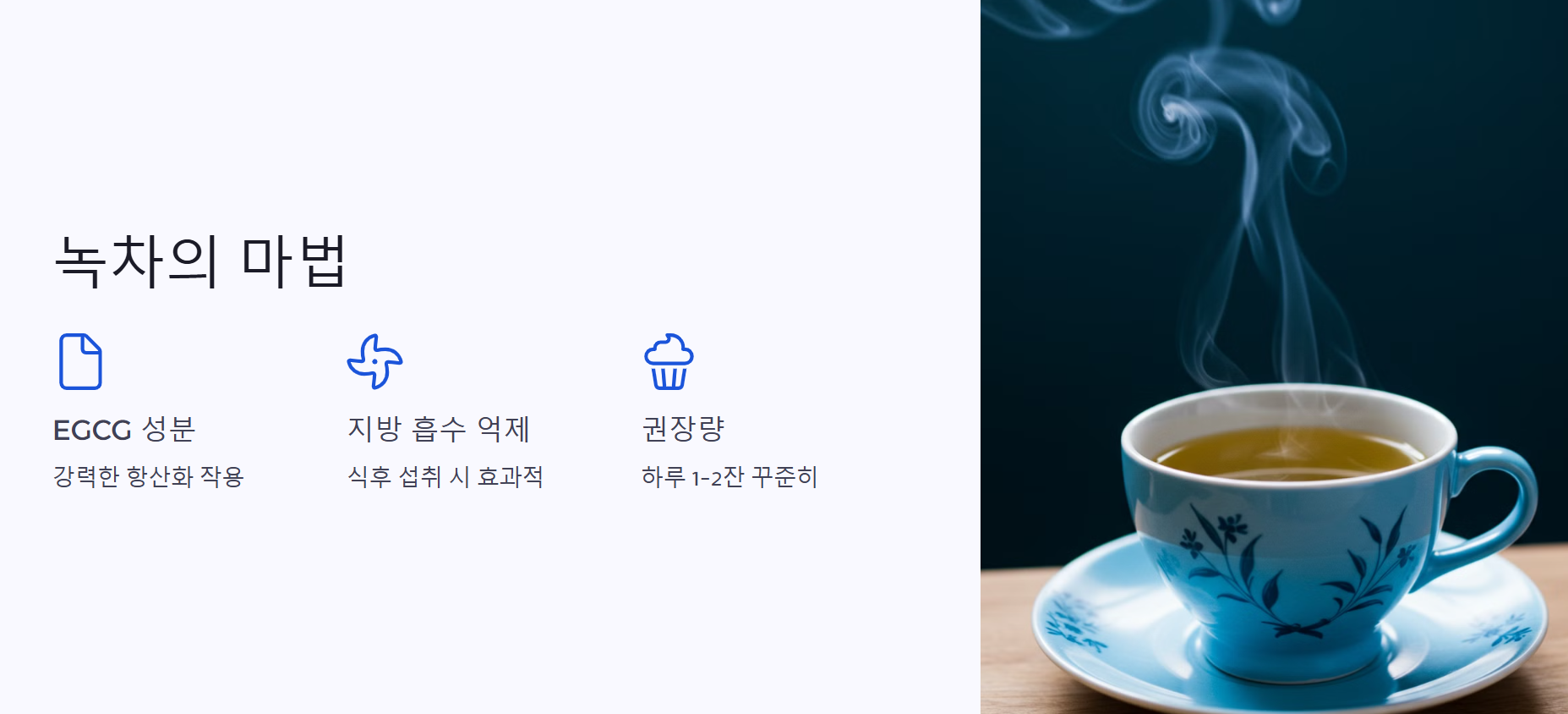 EGCG의 효과