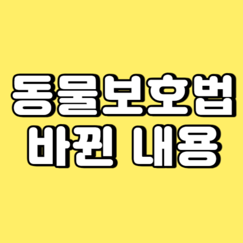 동물보호법 바뀐 내용 썸네일