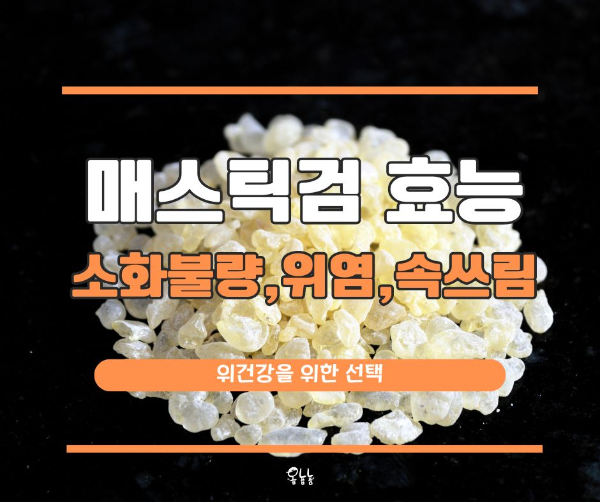 매스틱검 효능