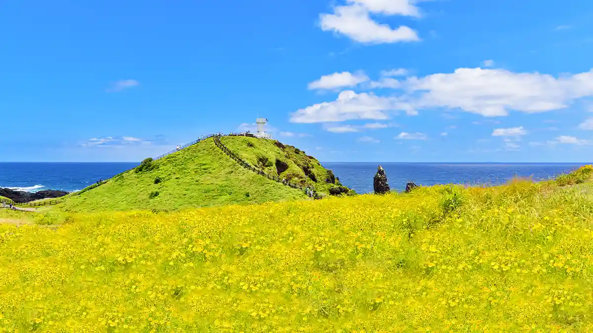 4월 봄 제주 가볼만한곳 명소 TOP 05 데이트 주말 나들이 추천