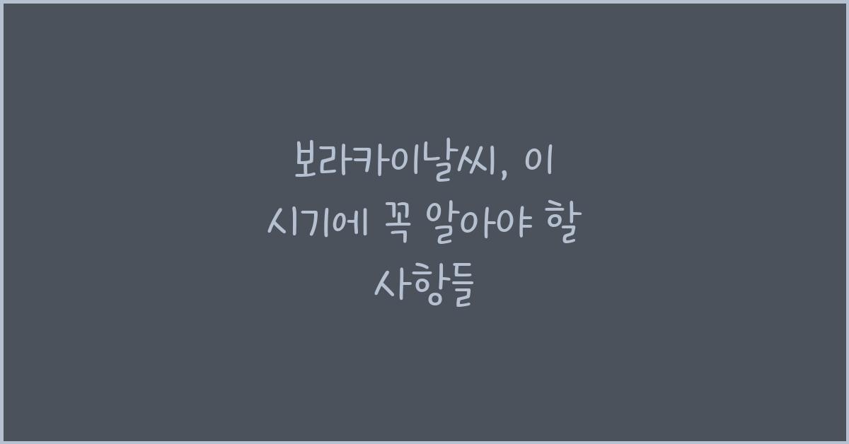 보라카이날씨