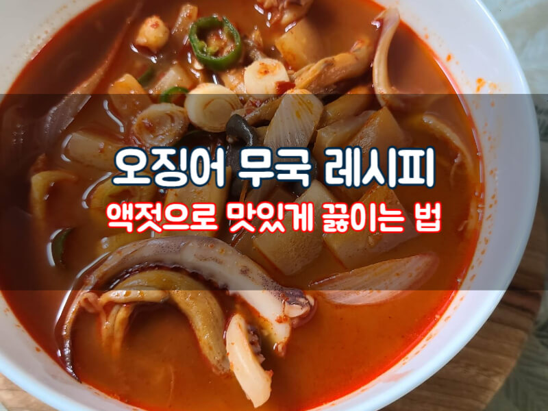 오징어무국 레시피 액젓으로 맛있게 끓이는 법 효능 칼로리