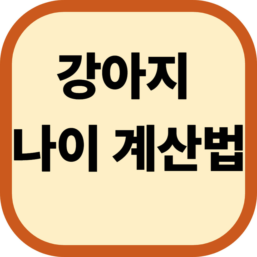 강아지 나이 계산법