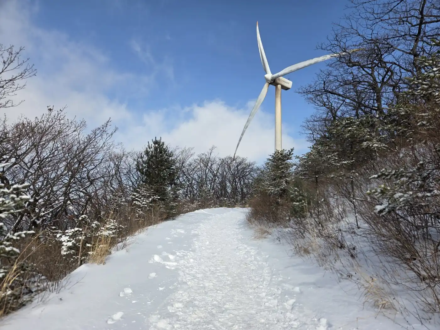 겨울 산길 발자국 흔적