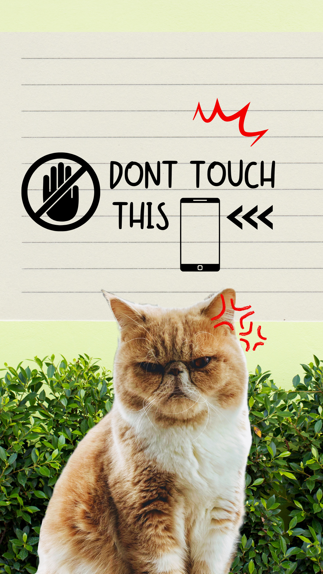 고양이 사진 그림 스마트폰 배경화면 이미지