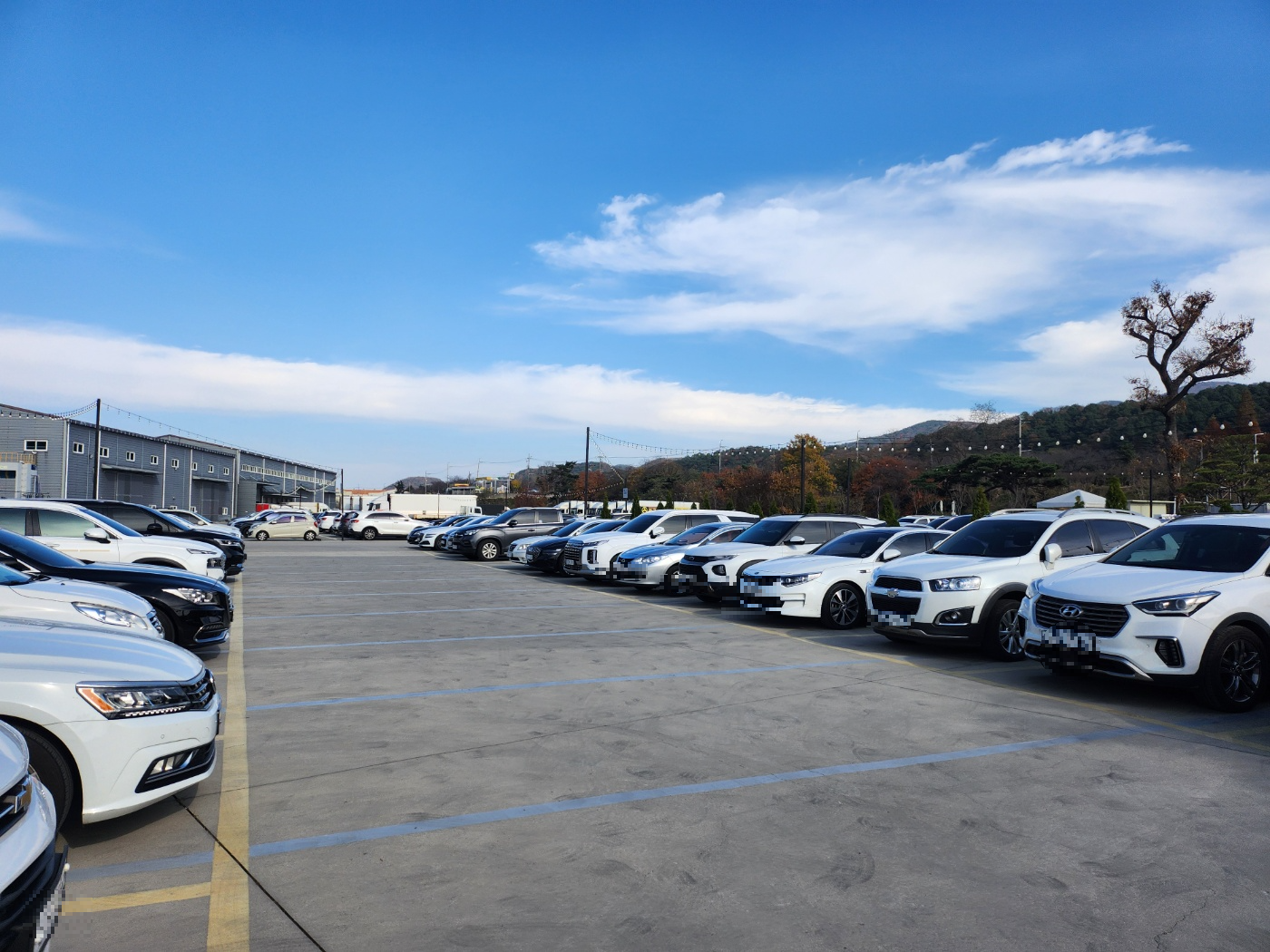 카페-주차장-만차-되어있는-모습