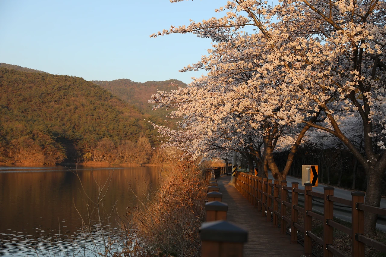 부안 변산해수욕장 오픈바&middot;JAZZ 버스킹&middot;비치 시네마 가이드
