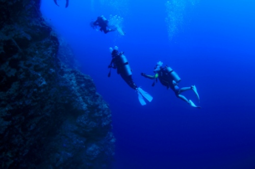 버디와 다이빙하는 모습