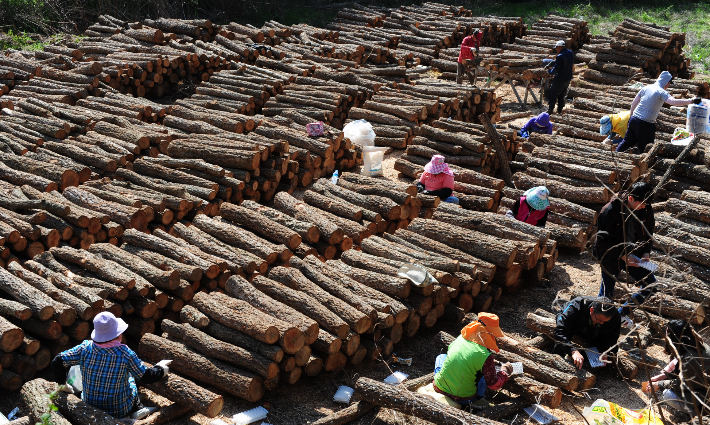 직불금 지원제도