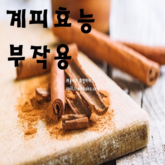 계피 효능