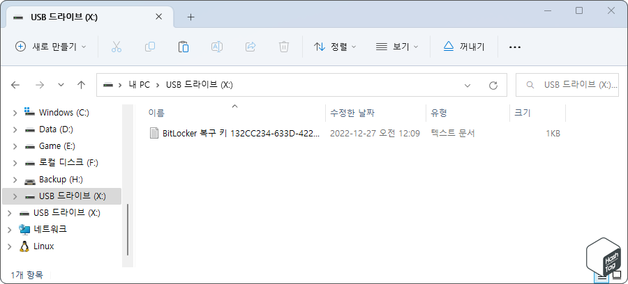 FAT32 파일 시스템 유형 USB 드라이브