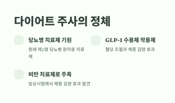 방시혁 위고비 화제된 다이어트 주사 2