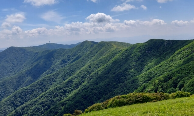 백두대간 능선