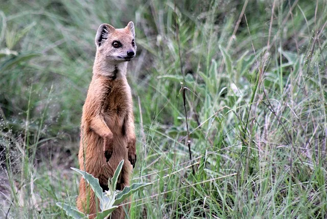 티몬 위메프 큐텐 탈퇴 주의점_7