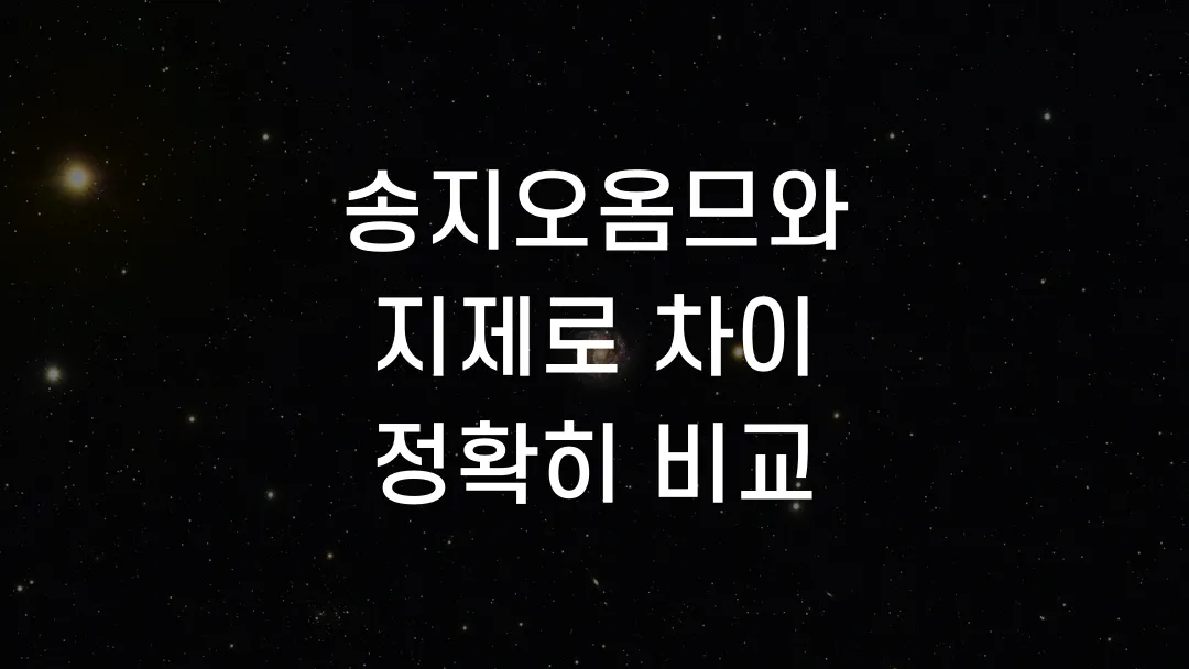 송지오옴므와 지제로 차이 정확히 비교