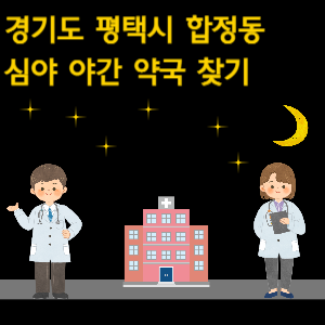 평택시 합정동 심야 야간 약국 찾기