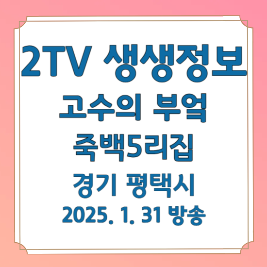 2TV 생생정보 고수의 부엌