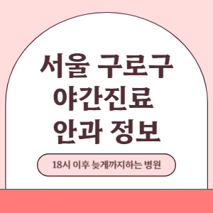 서울 구로구 야간진료 안과 병원 (18시 이후 늦게까지하는 병원)