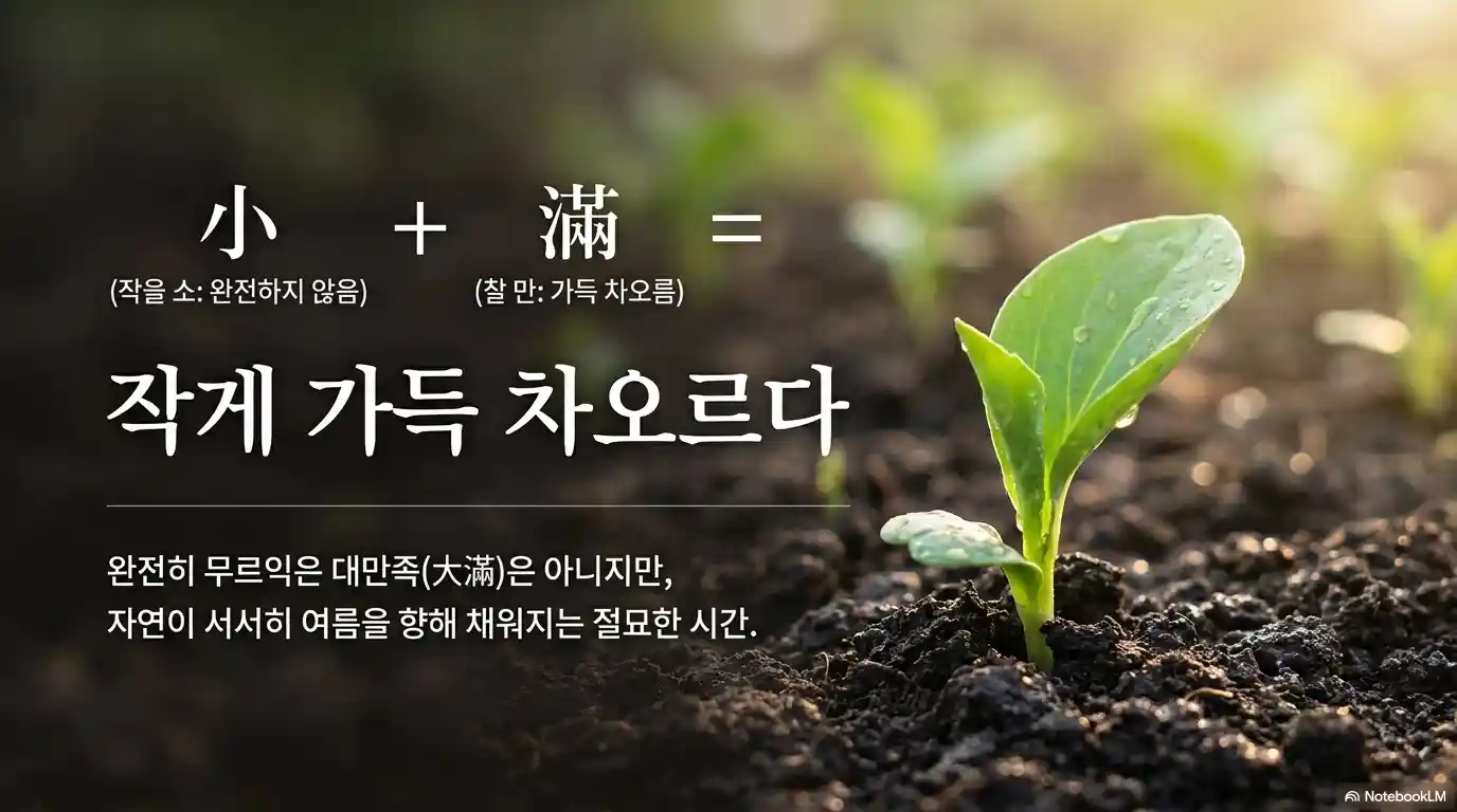 소만 한자 뜻 풀이