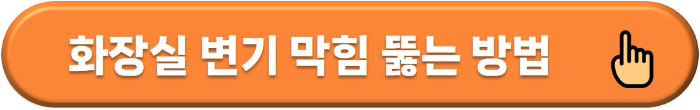 화장실 변기 막힘