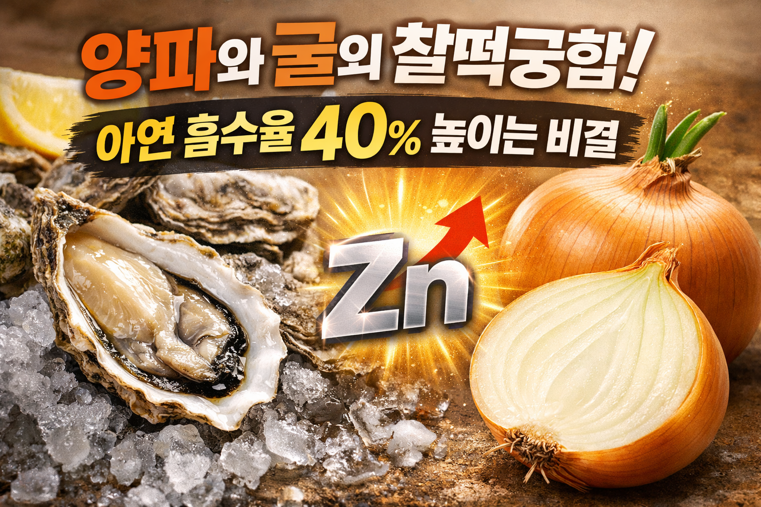 양파와 굴