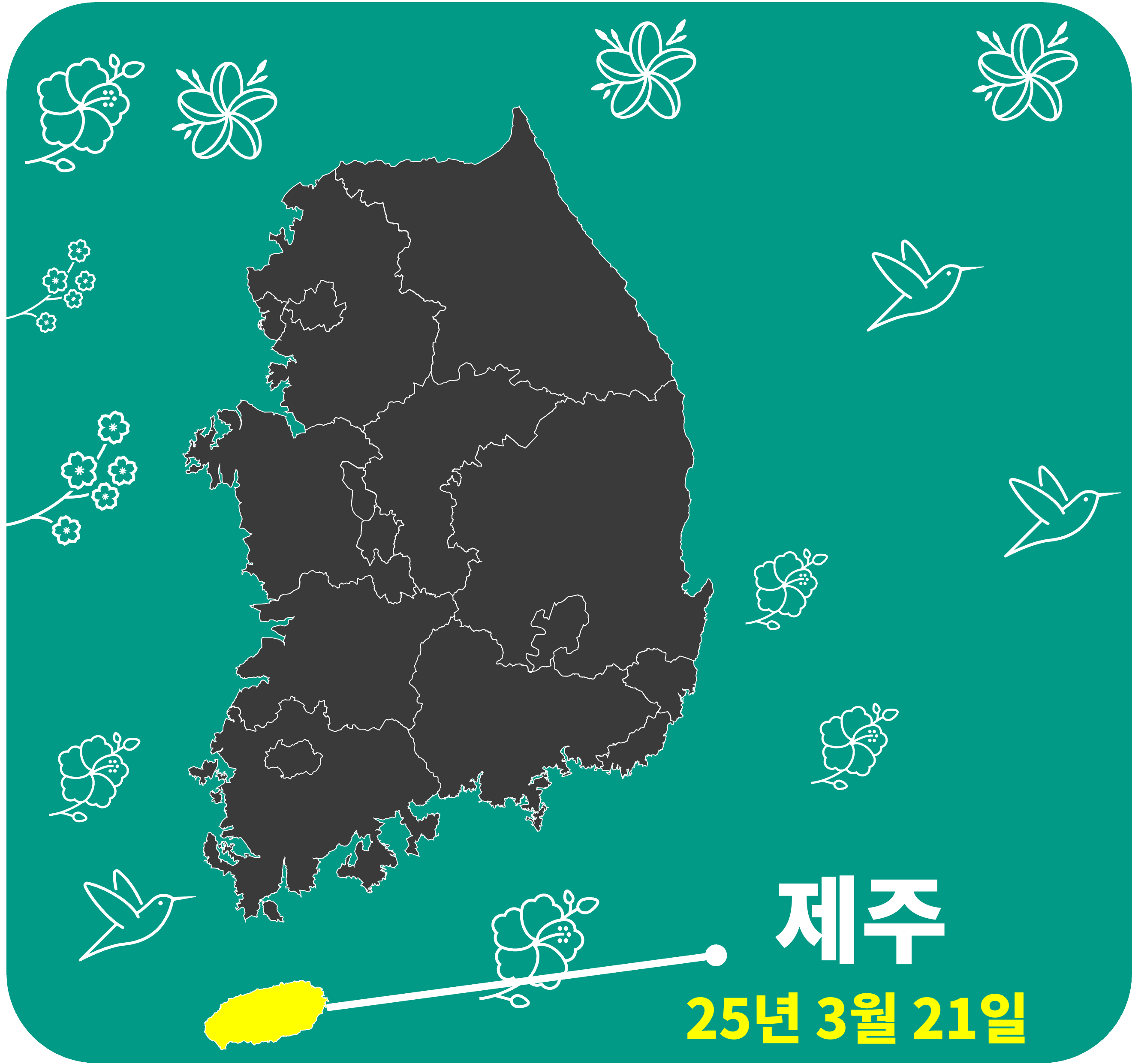 2025 벚꽃 개화시기 및 축제 [제주]