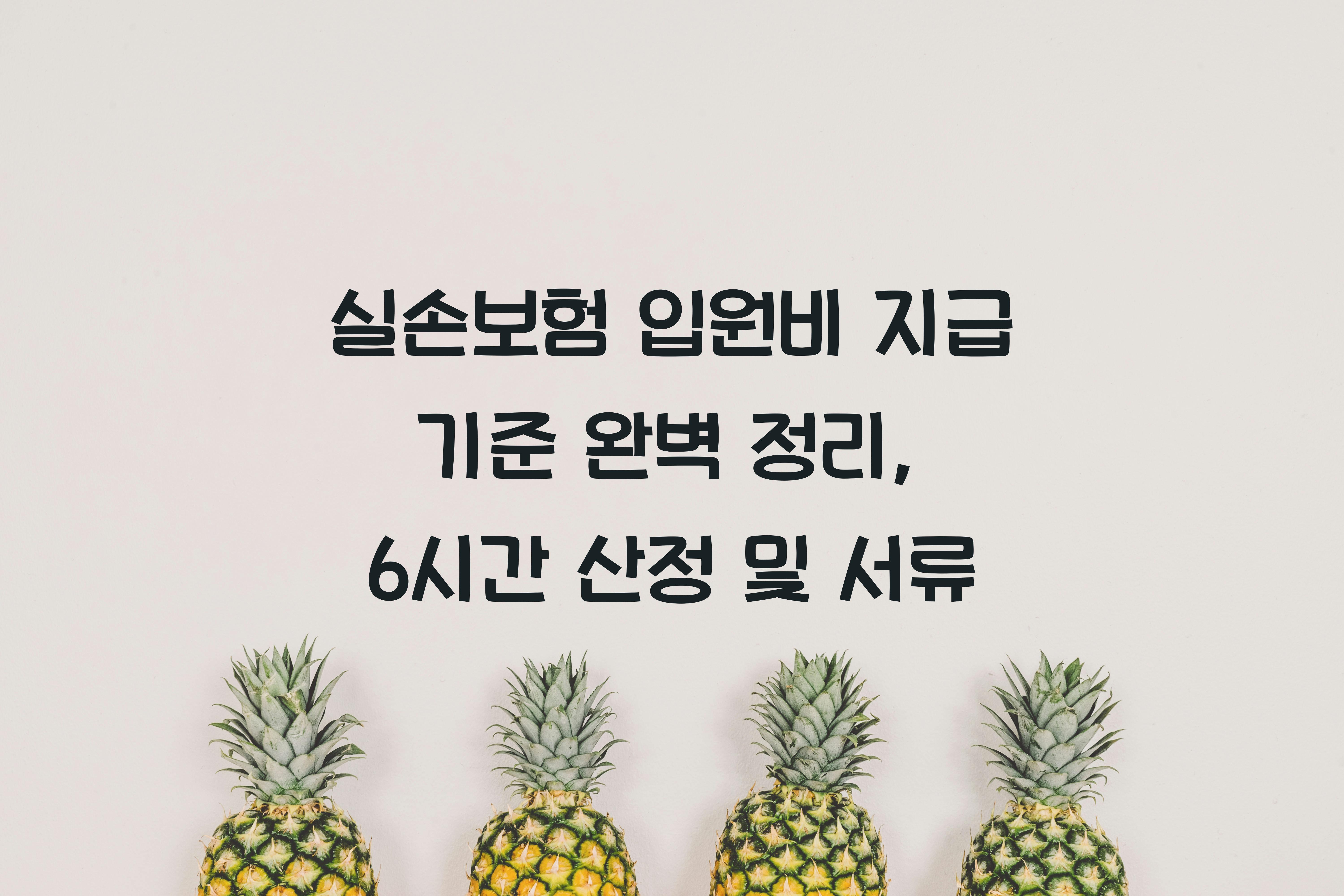실손보험 입원비 지급 기준
