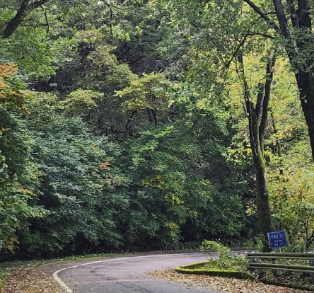 Alt 속성 문제 해결 설명 이미지