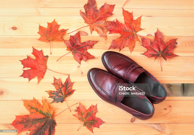 가을 로퍼 비교