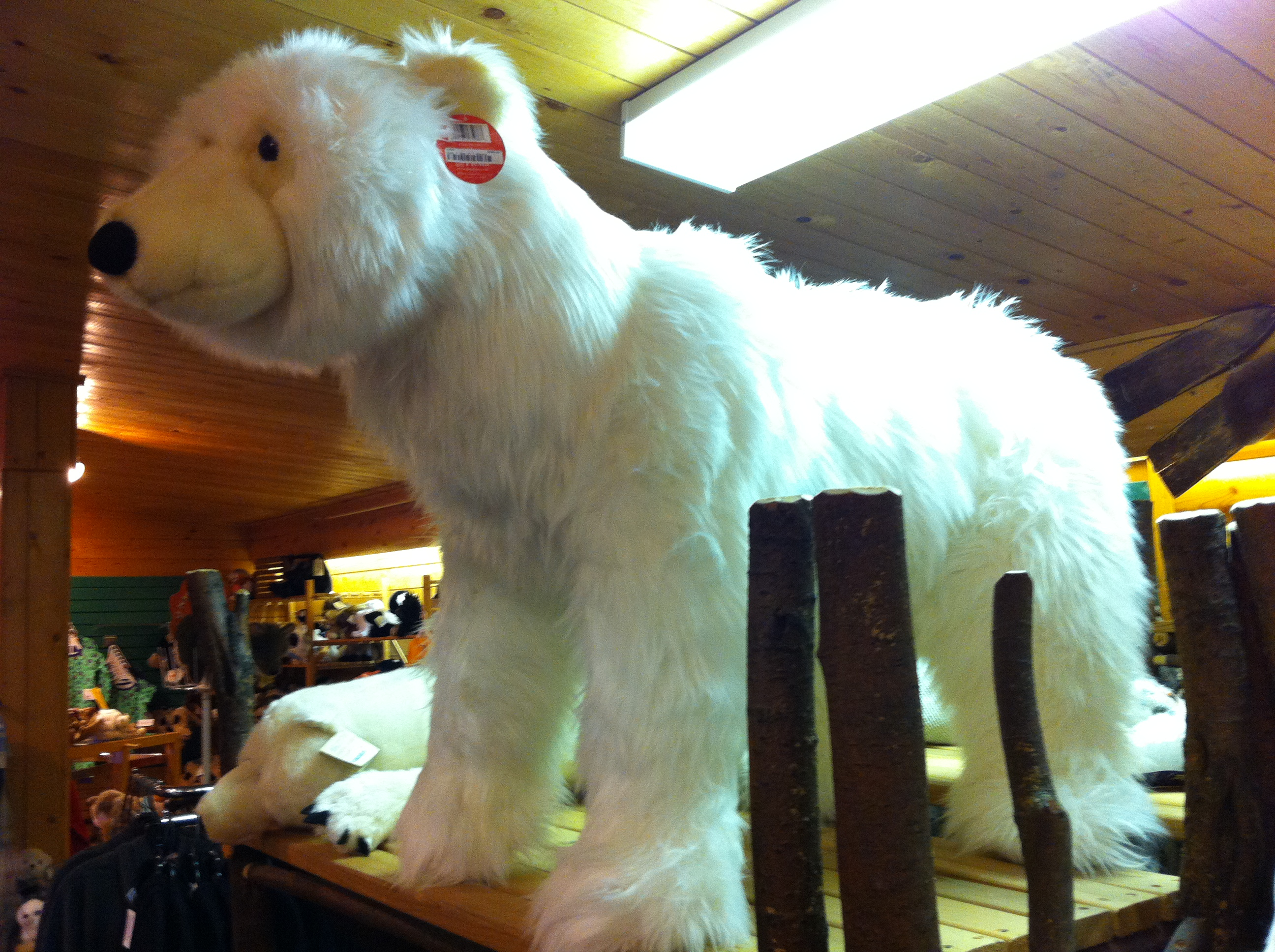 상점안에 있던 곰인형