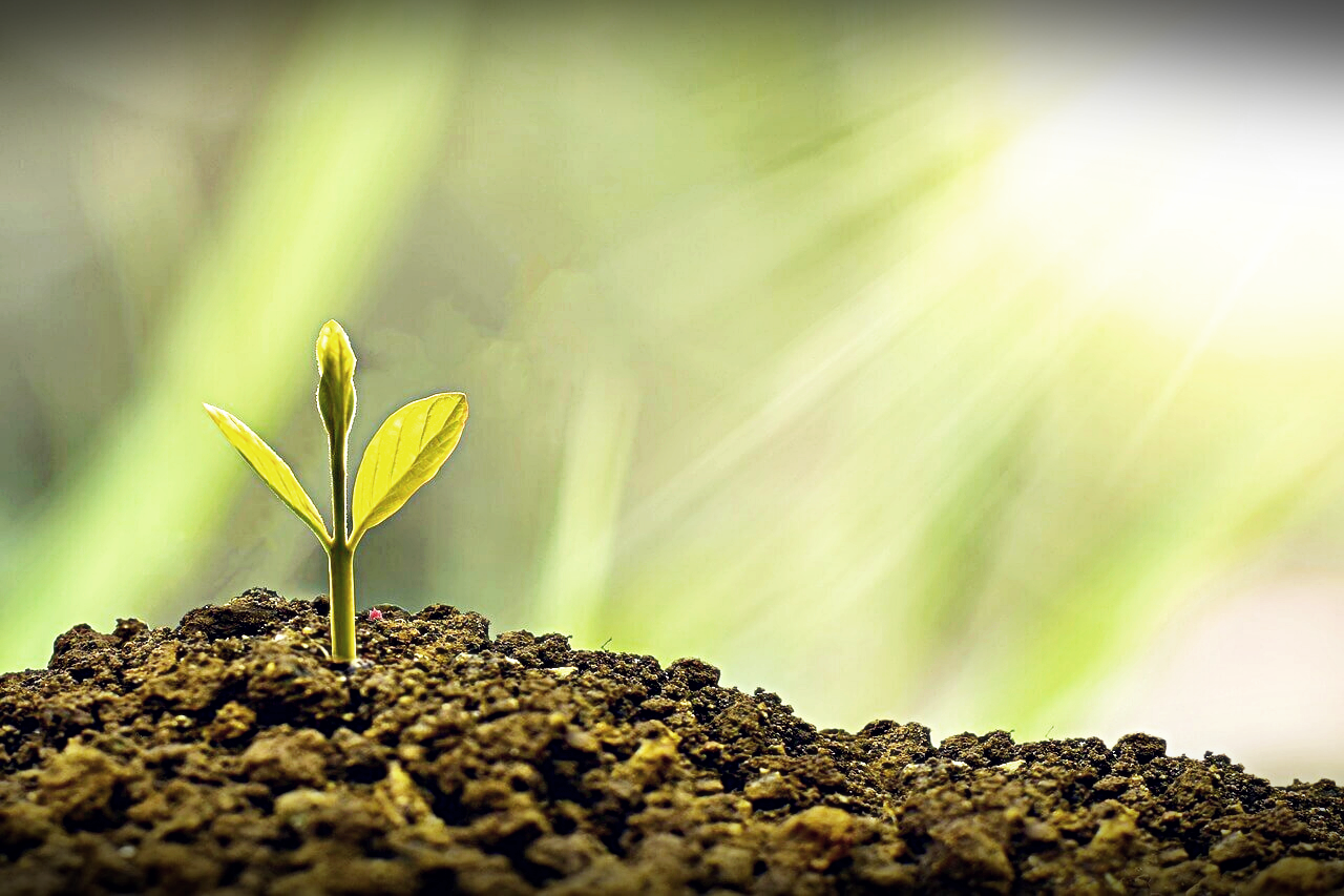 통신요금 10% 청구할인3