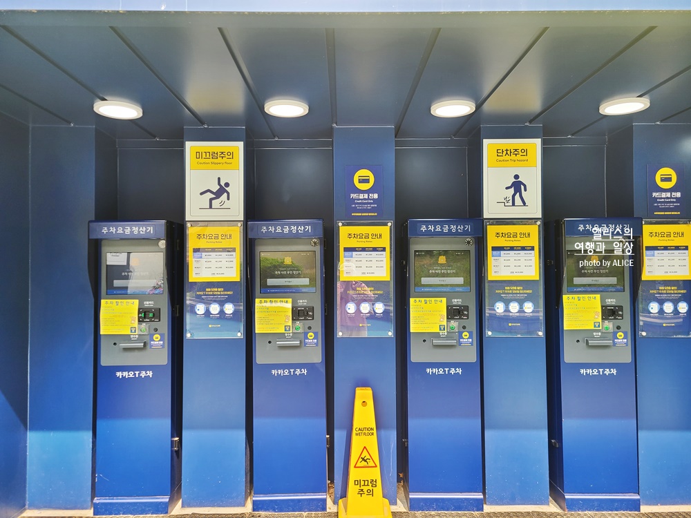 캐리비안 베이 개장 입장권(최저가 할인꿀팁), 준비물, 가는방법, 이용방법 상세히 알려드림