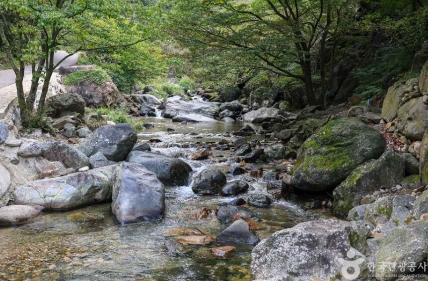 양평 가볼만한곳 베스트 10
