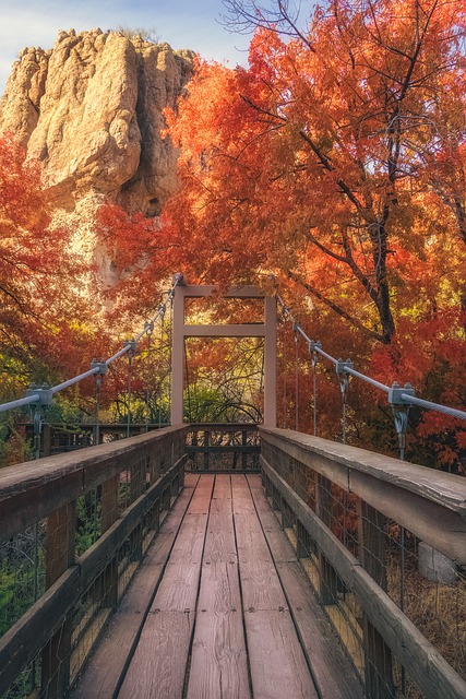 2025년 10월 강릉에서 가족&amp;#44; 친구&amp;#44; 연인&amp;#44; 아이와 함께 즐기는 숨겨진 축제부터 실시간 단풍 명소