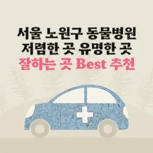 서울 노원구 동물병원 잘하는 곳 가격 저렴한 곳 추천