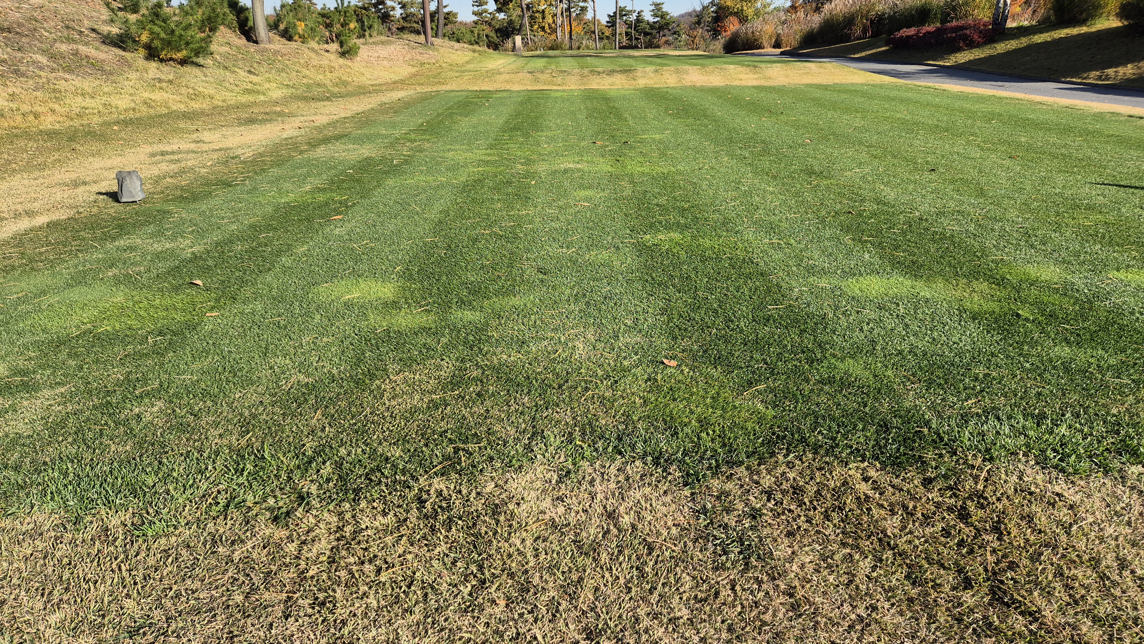 레이캐슬cc 티잉구역 상태