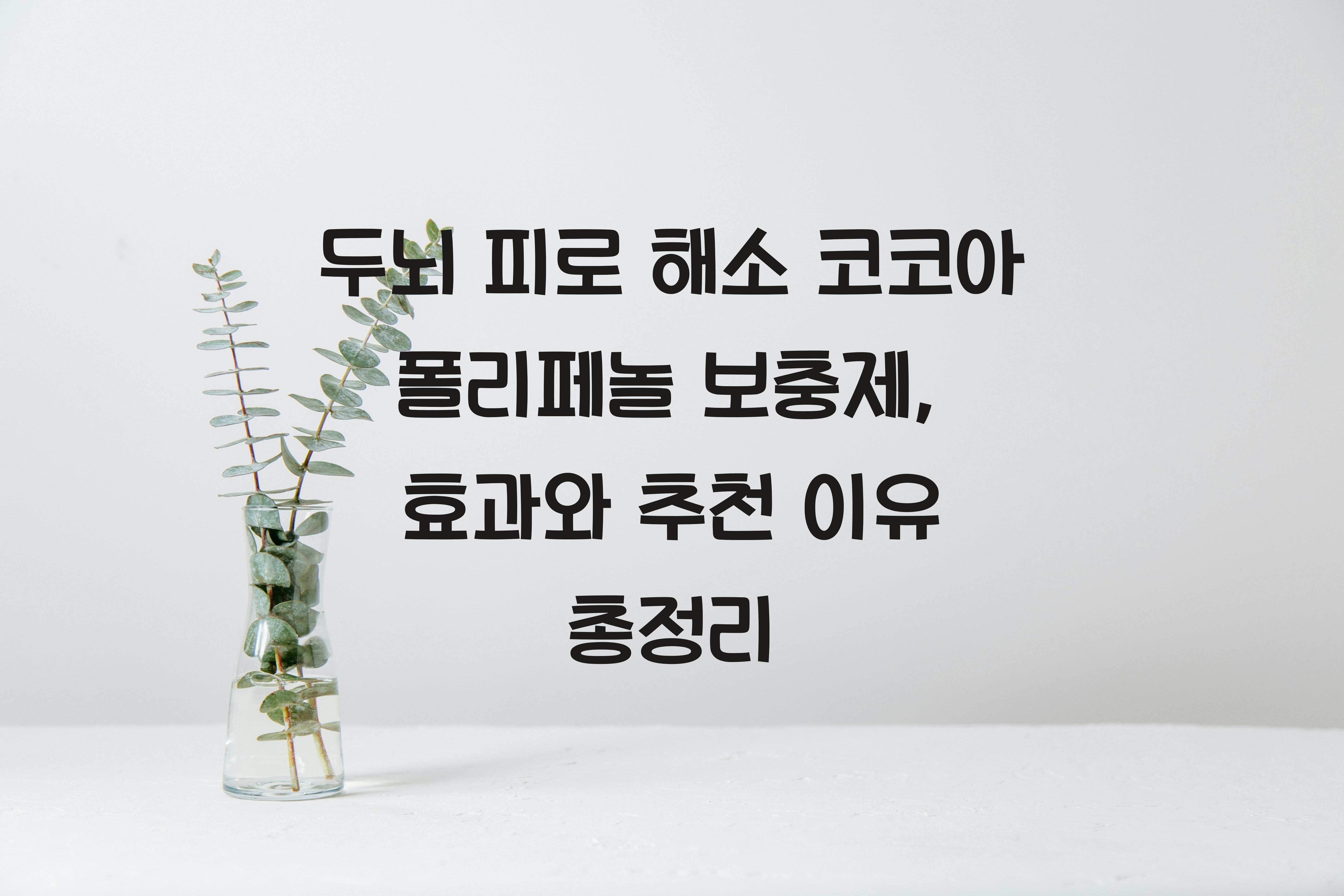 두뇌 피로 해소 코코아 폴리페놀 보충제