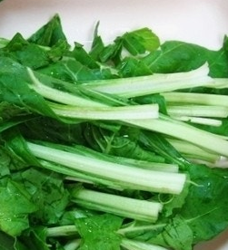 근대 효능과 부작용 나물 먹는법 고르는법 칼로리