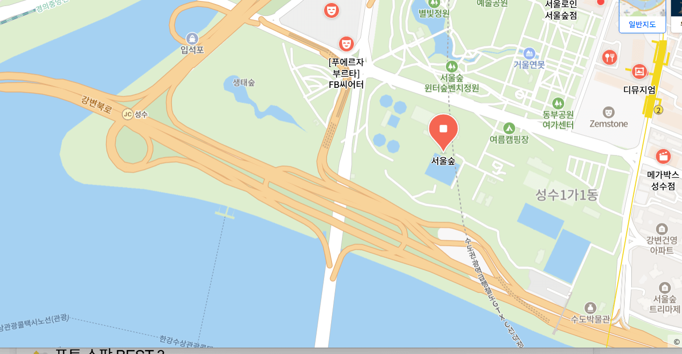 서울숲 튤립축제 vs 경기도 튤립 명소