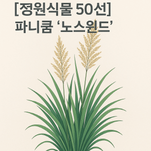 파니쿰 &lsquo;노스윈드&rsquo; 사계절 미학